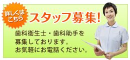 スタッフ募集中！